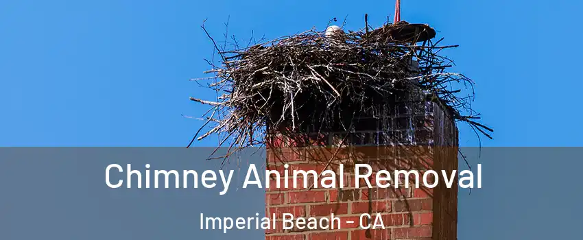  Chimney Animal Removal Imperial Beach - CA