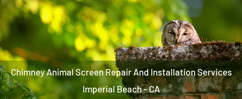  Chimney Animal Screen Repair And Installation Services Imperial Beach - CA