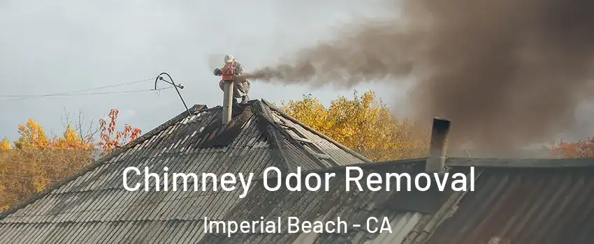  Chimney Odor Removal Imperial Beach - CA