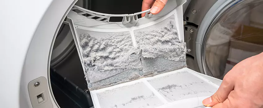 Best Dryer Lint Removal Company in Imperial Beach, California