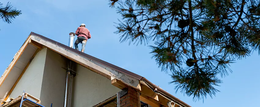 Birds Removal Contractors from Chimney in Imperial Beach, CA
