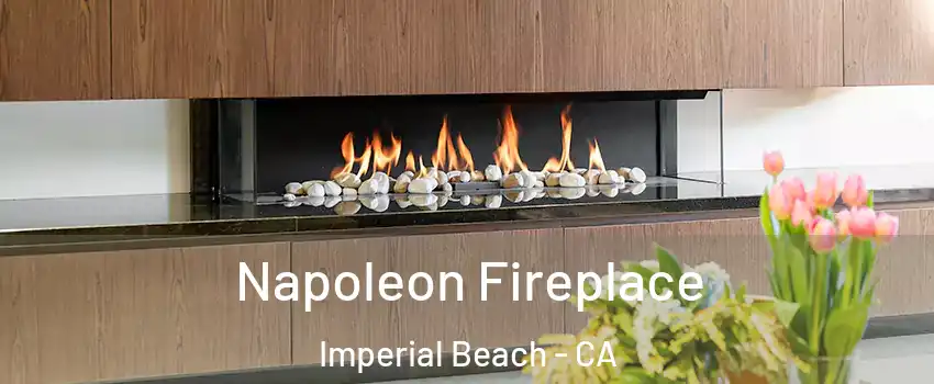  Napoleon Fireplace Imperial Beach - CA